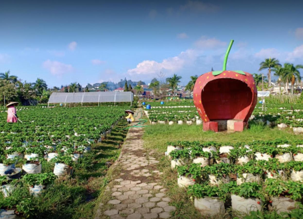 Villa Musti Green Apple Cipanas Sindanglaya Buitenkant foto